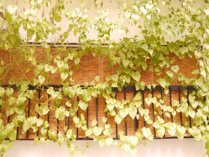 Serendipity At เกียวโต ภายนอก รูปภาพ